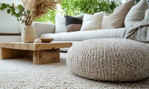 Carpet Cleaning Tips.