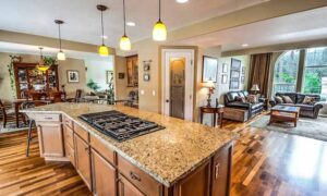 Clean House and Tips for Fast, Efficient Cleaning.