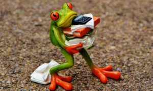 A Curious Green Frog Organizing Office Files.