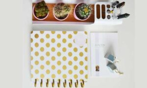 Organized Desk and How to Organize and Clean Your Home