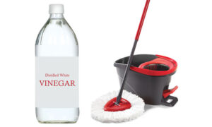 Bottle of White Vinegar, Mop and Bucket. Cleaning Tips Using Vinegar.