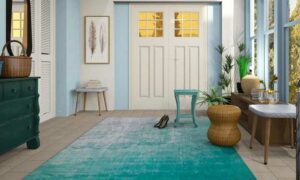 Clean Blue Carpet and How to Remove Stains and Odors.