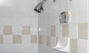 Tips for Keeping Your Shower Clean.