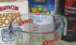 Baking Soda, White Vinegar and Hydrogen Peroxide to Remove Pet Odors.