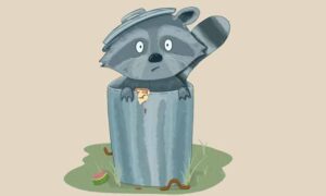 Racoon in a Smelly Garbage Can and How to Eliminate Odors Using Cat Litter.