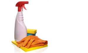 Cleaning Supplies to Clean Mold.
