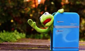 Kermit the Frog and a Dirty Refrigerator.