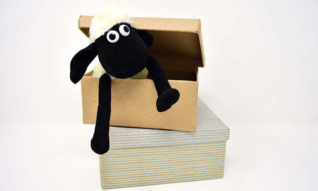 Stuffed Lamb in Cardboard Box That Could Cause Mold or Mildew if Stored Incorrectly.