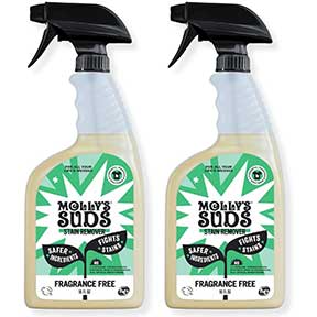 Molly's Suds Stain Remover Spray