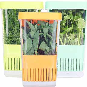 Fresh Herb Keeper