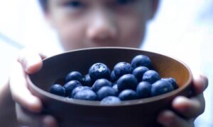 Blueberries in a Bowl and How to Remove Blueberry Stains.