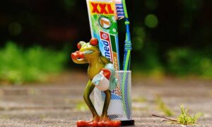 Toothpaste and Toothbrush in Cup Holder and Why to Clean a Toothbrush Holder.