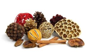 Fresh Ingredients for Homemade Welcoming Holiday Scents.