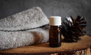 Holiday Essential Room Spray + Recipes