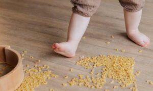Kids and Spilled Food. How Often You Should Vacuum.